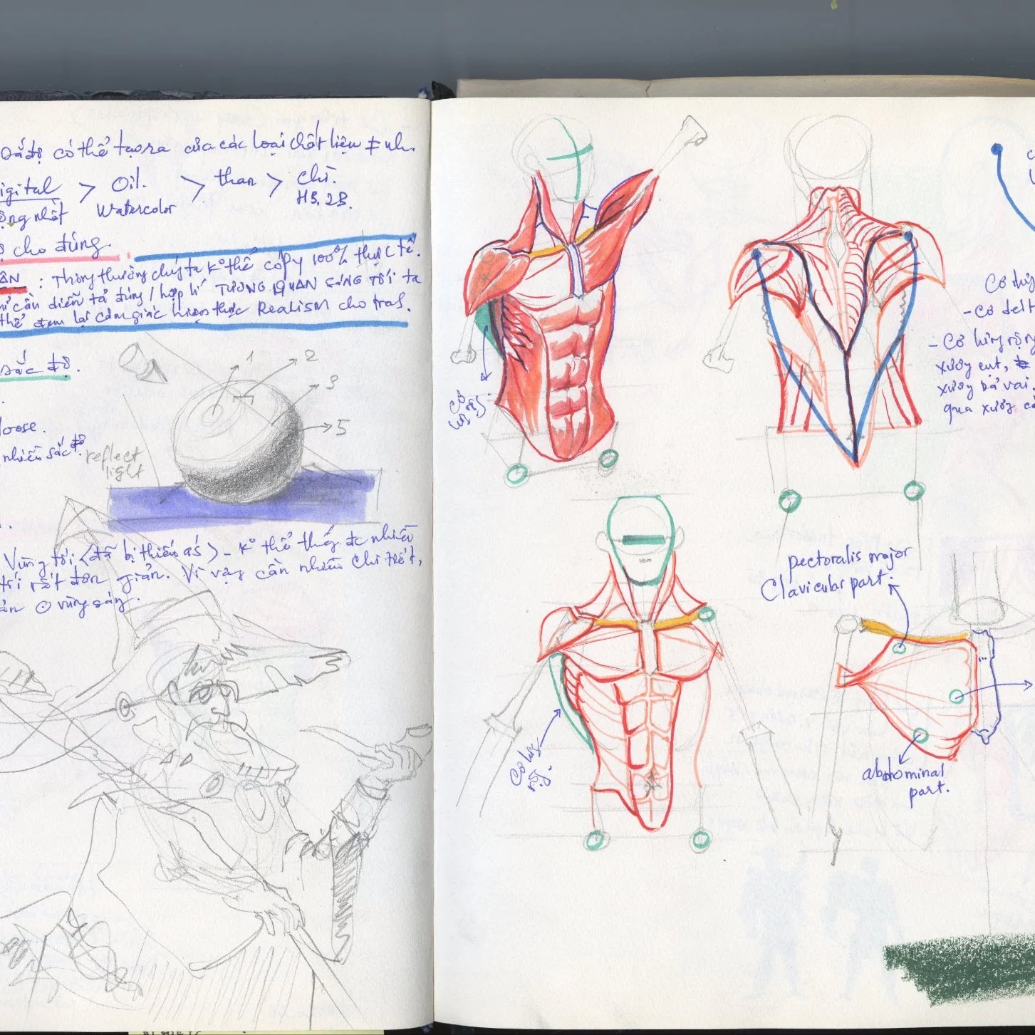 Sketchbook Study 11 by Thanh Do (Sketchbook)