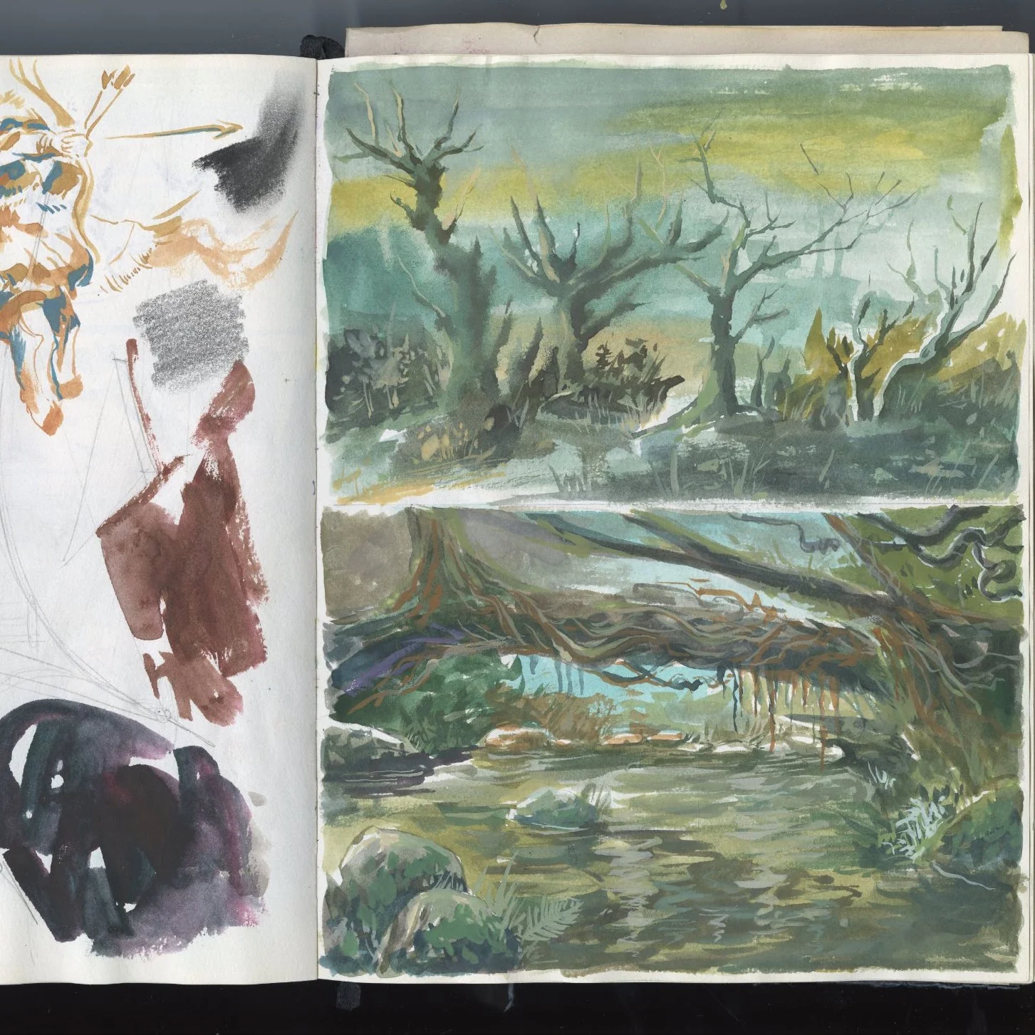 Sketchbook Study 13 by Thanh Do (Sketchbook)