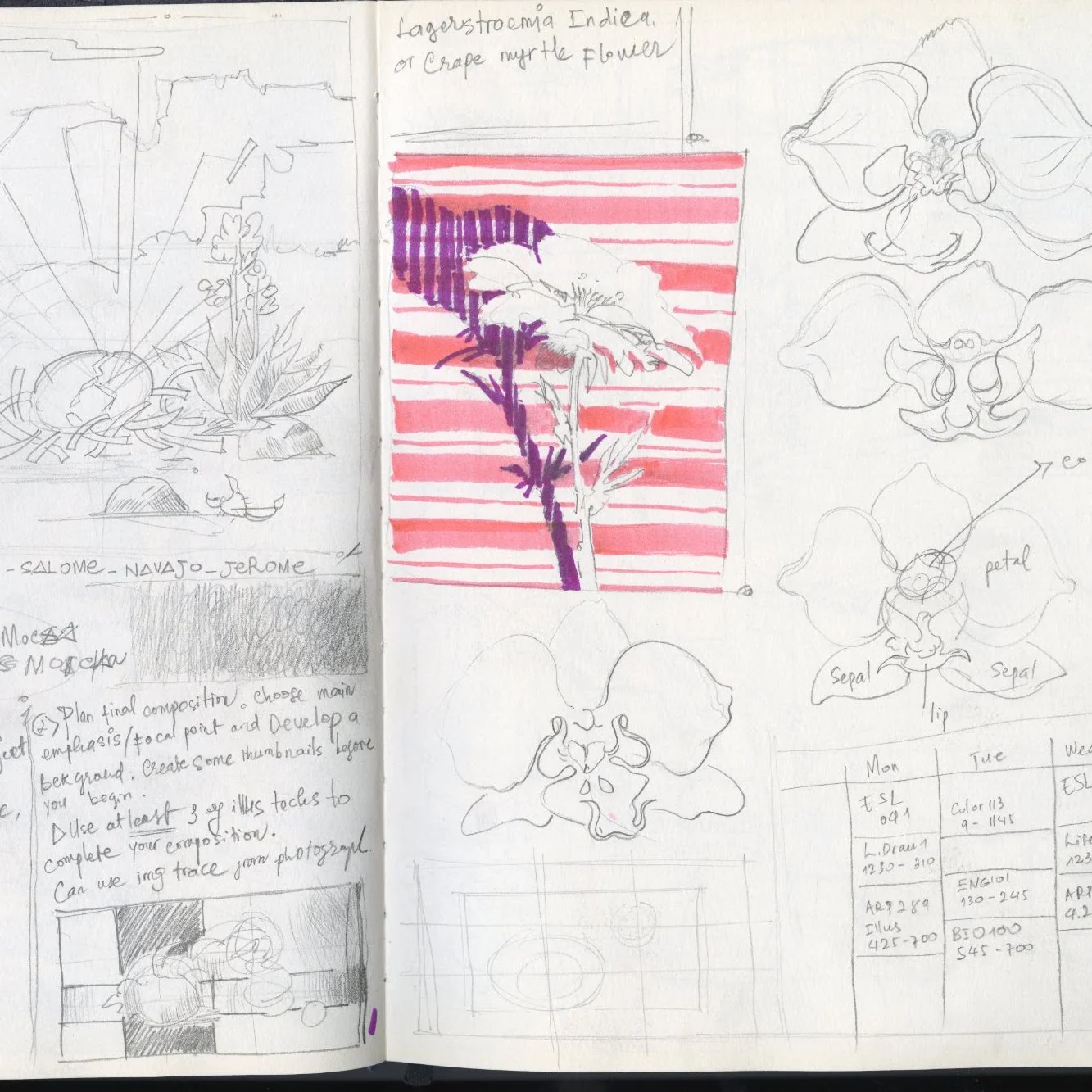 Sketchbook Study 20 by Thanh Do (Sketchbook)
