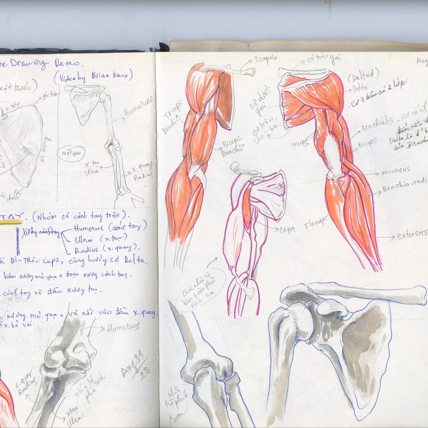 Sketchbook Study 23 by Thanh Do (Sketchbook)
