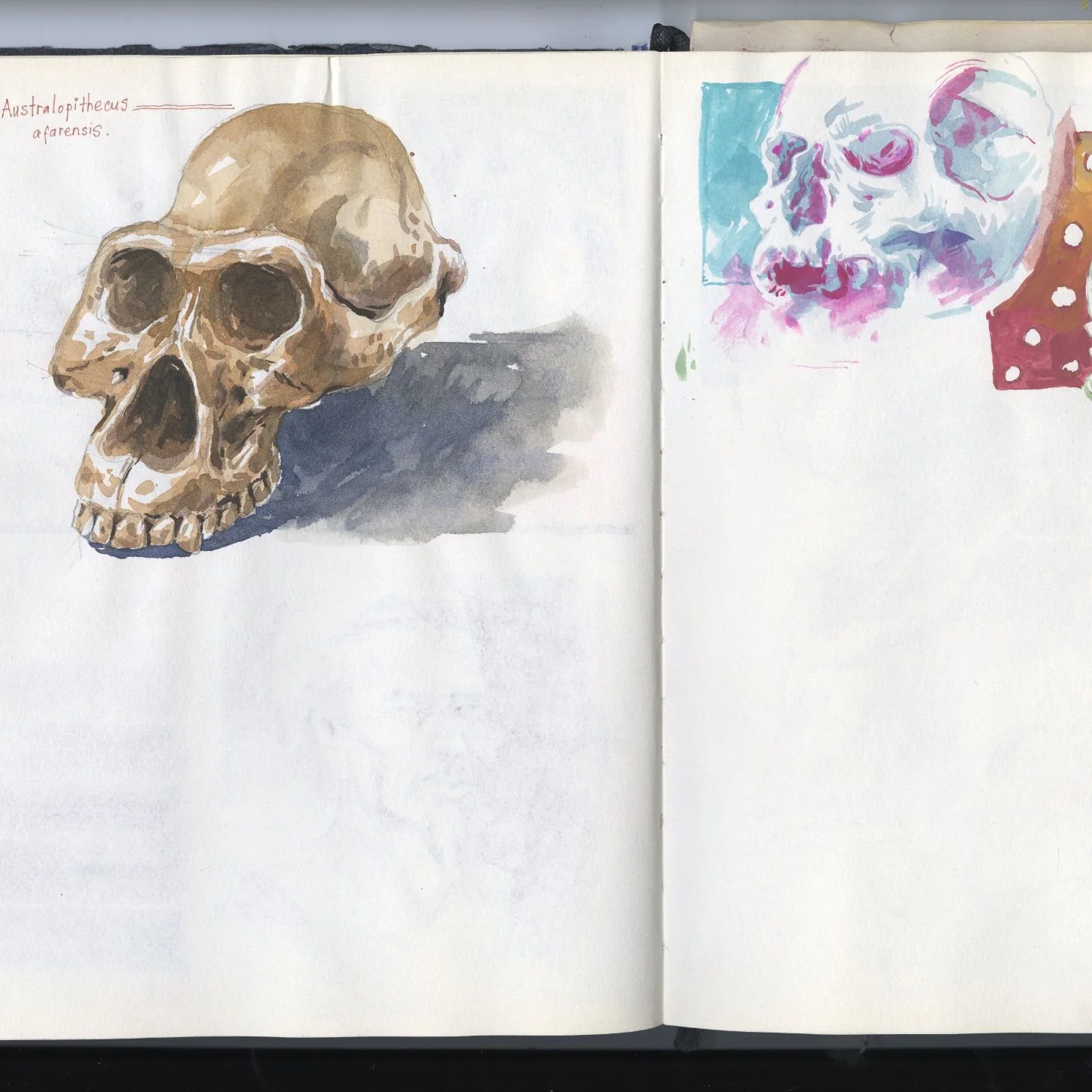 Sketchbook Study 24 by Thanh Do (Sketchbook)