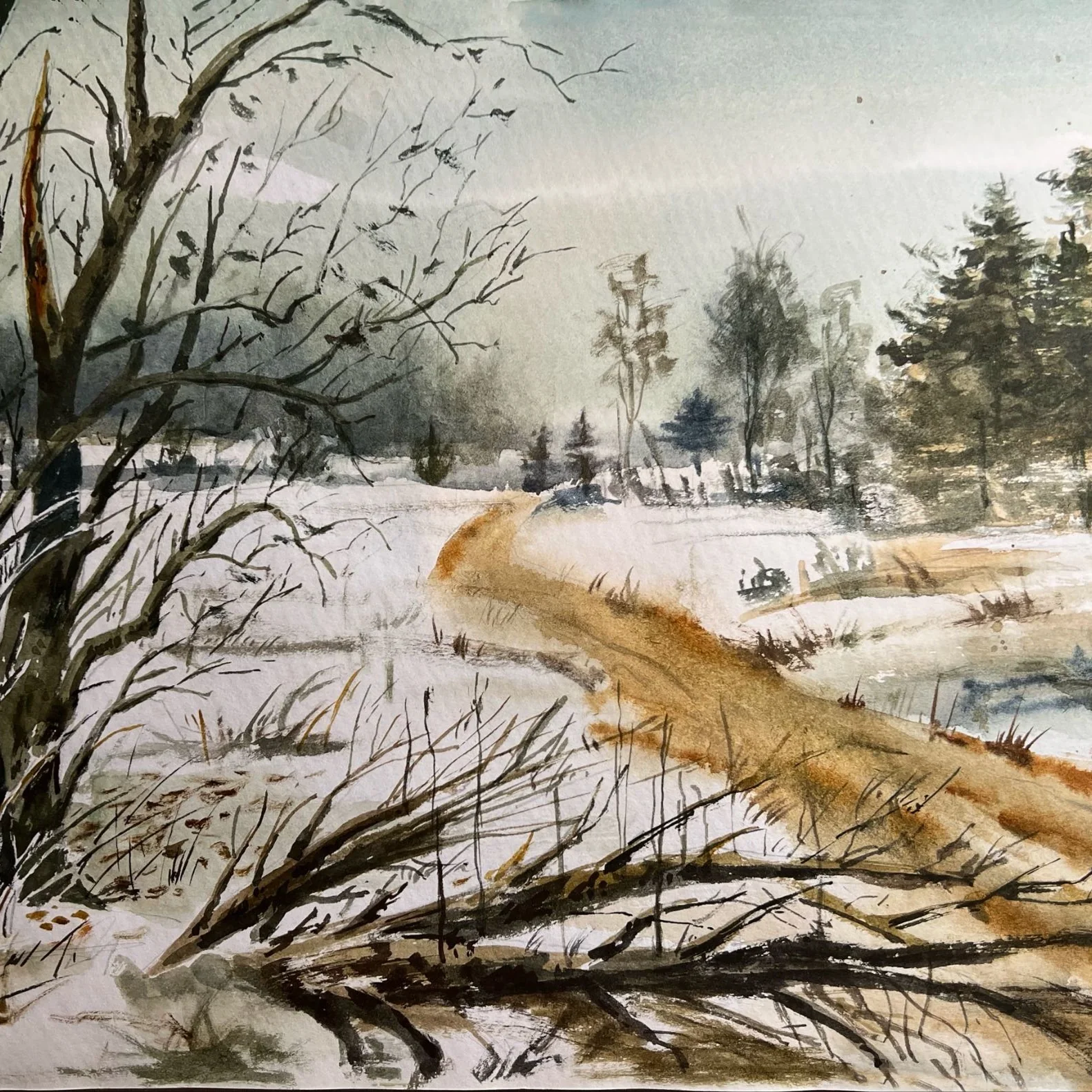Watercolor Study 24 by Thanh Do (Watercolor)